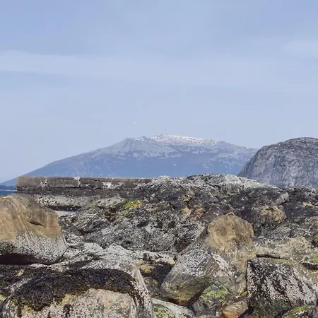 3 Bedroom Gorgeous In Giske Διαμέρισμα Godoy